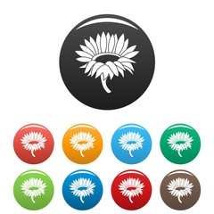 Blossoming sunflower icon. Simple illustration of blossoming sunflower vector icons set color isolated on white