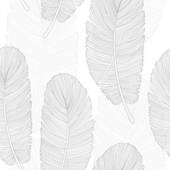 Grayscale Overlapping Feathers Pattern
