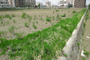 再開発 © trevisegk