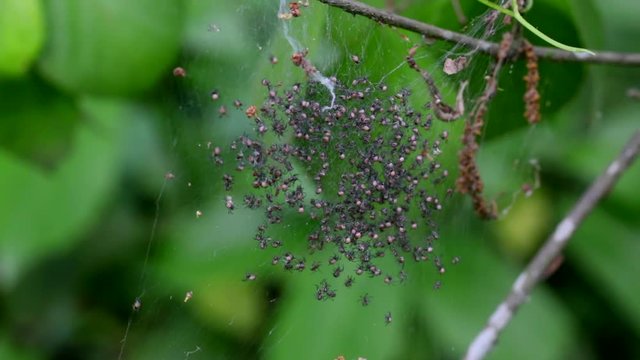 四方八方 Images Browse 149 Stock Photos, Vectors, and Video Adobe Stock