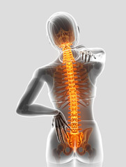3D Illustration of Female Feeling the back pain