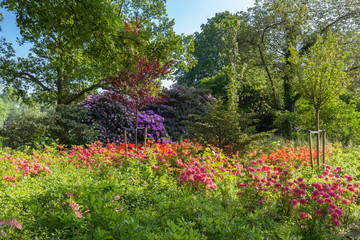 Obraz premium Public park in The Hague is surrounded by beautiful colorful flowers. It's great place for hiking.