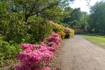 Public park in The Hague is surrounded by beautiful colorful flowers. It's great place for hiking.