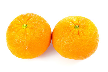 mandarines
