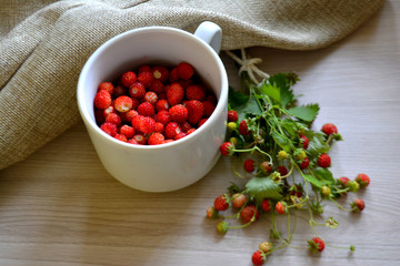Wild strawberries in cup on the table. Summer still life
