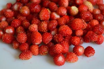wild strawberry in a plate