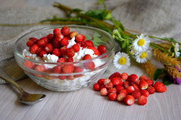 Cottage cheese with wild strawberries, flowers on the table. Breakfast. Still-life