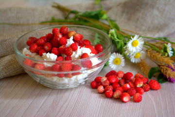 Cottage cheese with wild strawberries, flowers on the table. Breakfast. Still-life