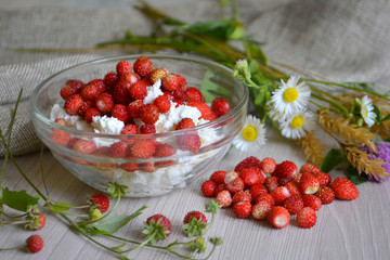 Cottage cheese with wild strawberries, flowers on the table. Breakfast. Still-life