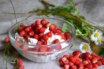 Cottage cheese with wild strawberries, flowers on the table. Breakfast. Still-life