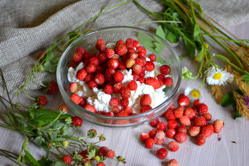 Cottage cheese with wild strawberries, flowers on the table. Breakfast. Still-life