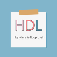 HDL High-density lipoprotein written in a notebook paper- vector illustration