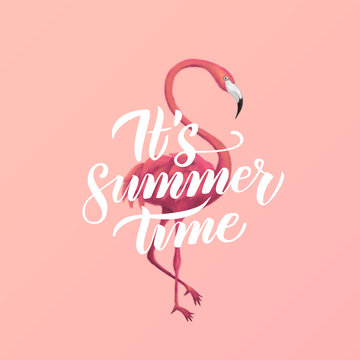 Flamingo Summer Time