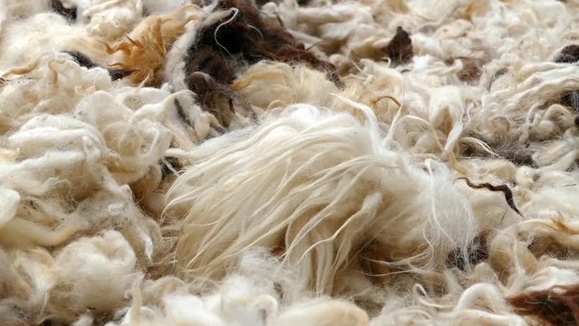 sheep wool, sheep wool for making beds and quilts,

