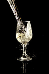 wine glass in black background