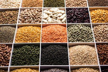 Indian Beans,Pulses,Lentils,Rice and Wheat grain in a white wooden box with cells, selective focus.