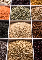 Indian Beans,Pulses,Lentils,Rice and Wheat grain in a white wooden box with cells, selective focus.