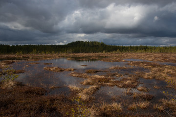 Ritassaarensuo on a cloudy moment