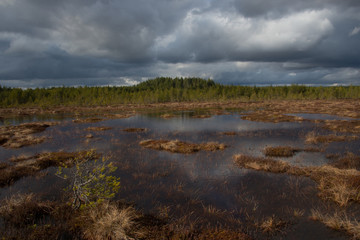 Ritassaarensuo on a cloudy moment