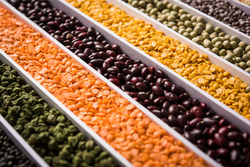 Indian Beans,Pulses,Lentils,Rice and Wheat grain in a white box with cells or strips, selective focus.