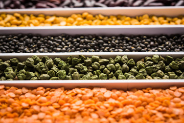 Indian Beans,Pulses,Lentils,Rice and Wheat grain in a white box with cells or strips, selective focus.