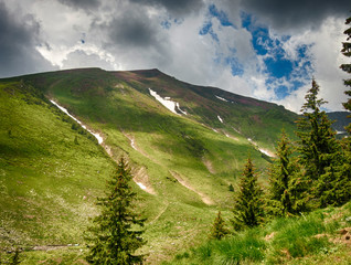 Naklejka premium spectacular mountain landscape with clouds hovering above mountain slopes filled with bushes of rhododendron kotschyi in fagaras mountains romania in early summer