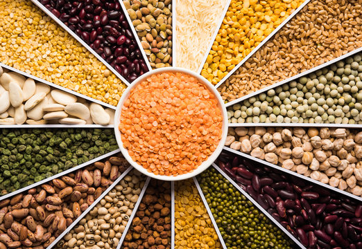 Indian Beans,Pulses,Lentils,Rice and Wheat grain in a white Sunburst or sun rays shape designer container , selective focus.