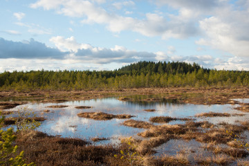 Ritassaarensuo - evening sun