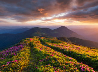 Fototapeta na wymiar Mountains during flowers blossom and sunrise. Beautiful natural landscape at the summer time