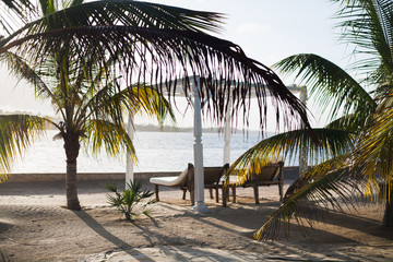 palmeras y tumbonas en una playa paradisíaca