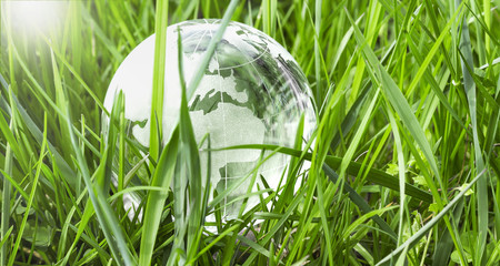transparente Erdkugel im frischem Gras - Umweltschutz Konzept
