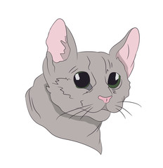 cat portrait, vector