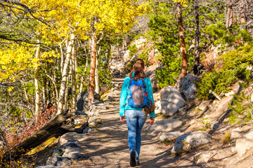Tourist hiking in aspen grove at autumn