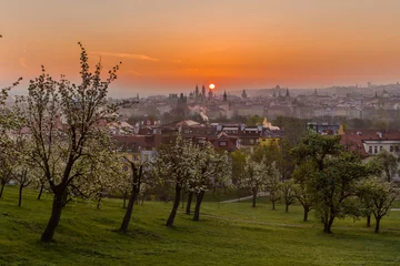 Fotobehang Prague cityscape. A beautiful spring morning when the gardens blossom on Petrin hill in Prague, Czech Rupublic  © vitaprague