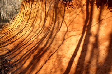 ombres sur l ocre
