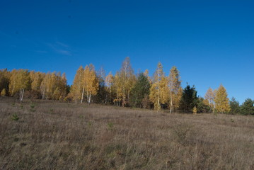 autumn nature in russia