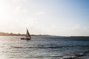 dhao sobre el océano ídico en una puesta de sol © MARIA