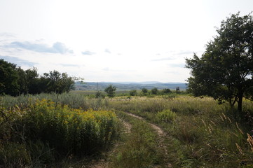 Ungarische Felder