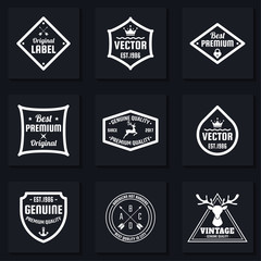 Vintage Retro Vector Logo for banner