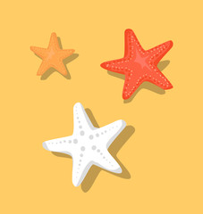 Fototapeta na wymiar Starfish or Sea Stars Star-Shaped Echinoderms Set