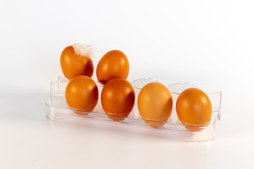 Six brown chicken eggs in a plastic eggbox out of the fridge