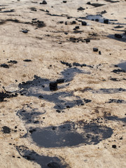 Some coal and dirt in water