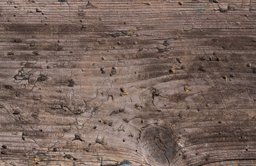 natural brown wood background