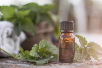 Stinging Nettle Essential oil (Urtica Dioica) Spa Phytotherapy Aromatherapy Healing Herbs Homeopathy Alternative Medicine Concept Medical Herb Health Beauty Rustic Vintage Wooden Background