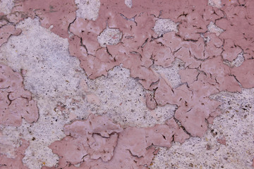 Gray textured wall of an old abandoned house with a climbing pale pink paint, cracks.