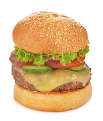 Homemade fresh cheeseburger