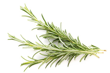 Rosemary spice on the white background.