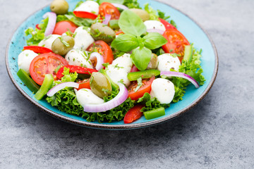 Vegetable salad with cheese mozzarella, tomatoes, basilikum and spice.