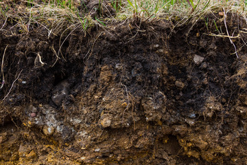vertical section of land, different rocks, alumina, clay and others