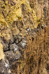 vertical section of land, different rocks, alumina, clay and others